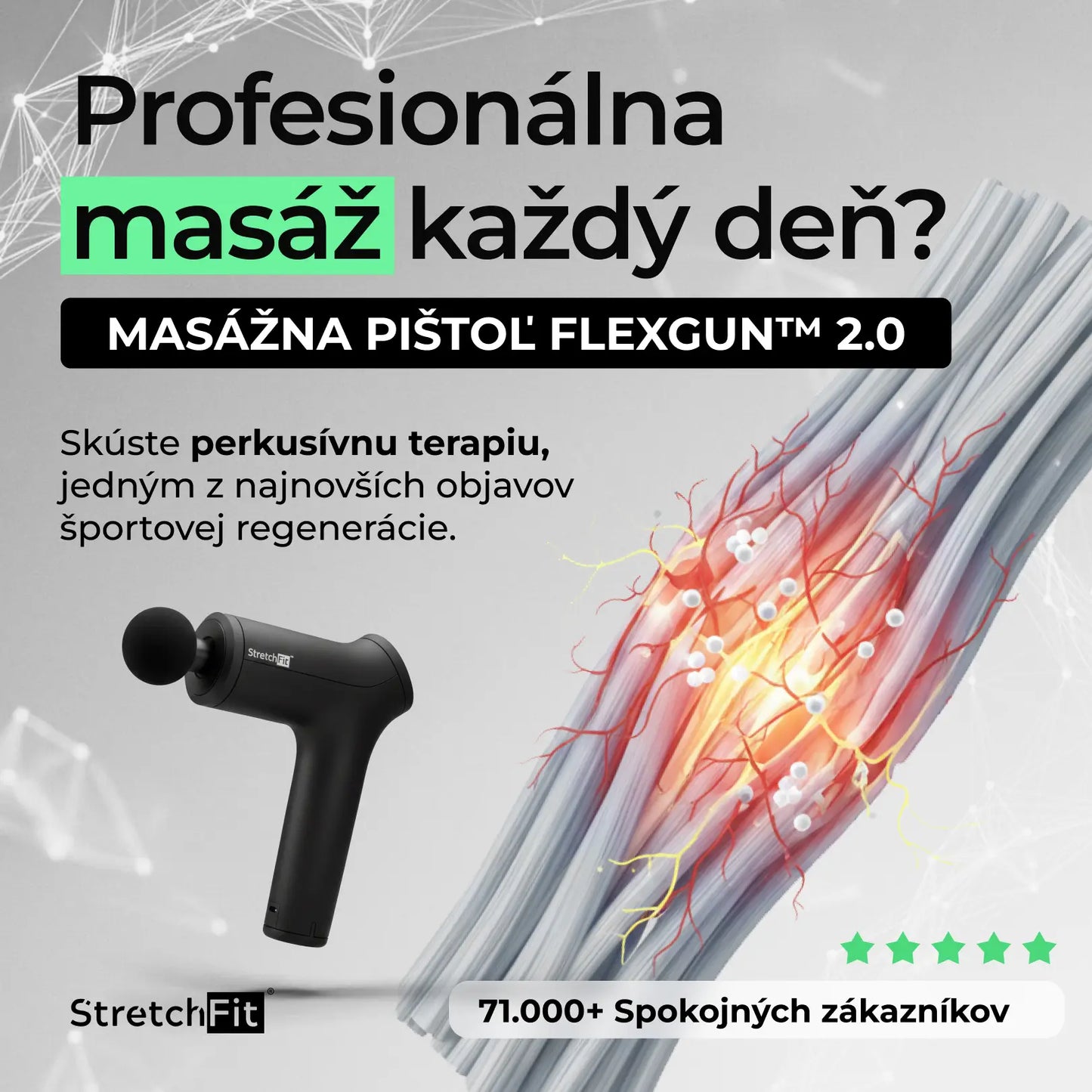 Masážna pištoľ - FlexGun™ 2.0